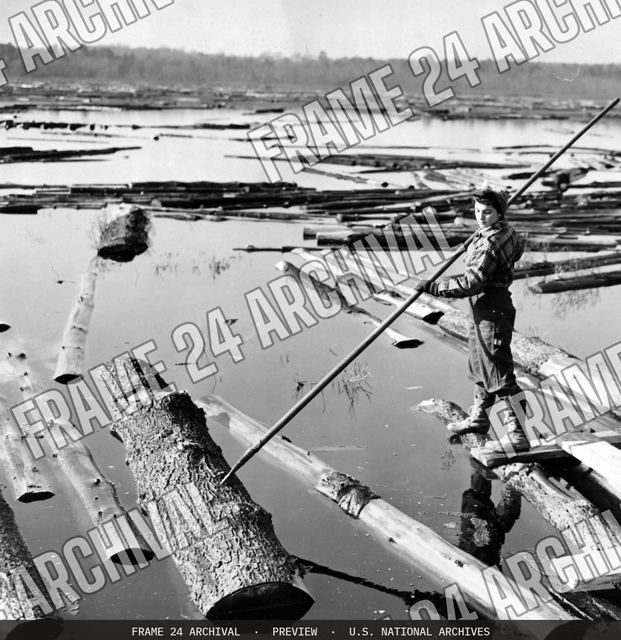It's Women Lumberjacks Now, vintage black and white photograph